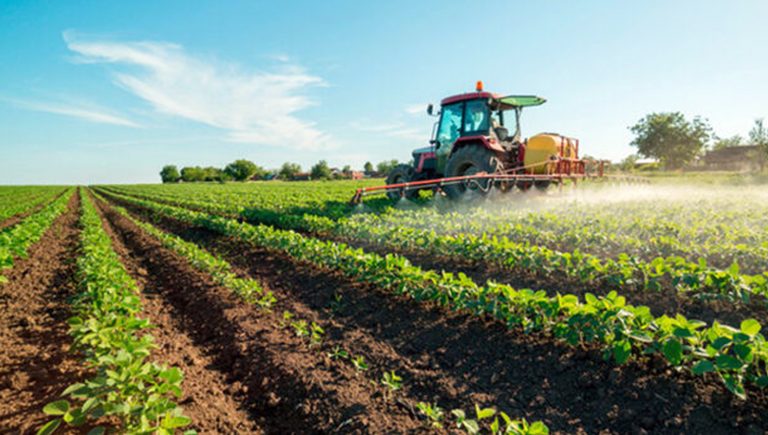 Provincia – Studio Movimprese: il settore agricolo Frusinate tiene nonostante la pandemia