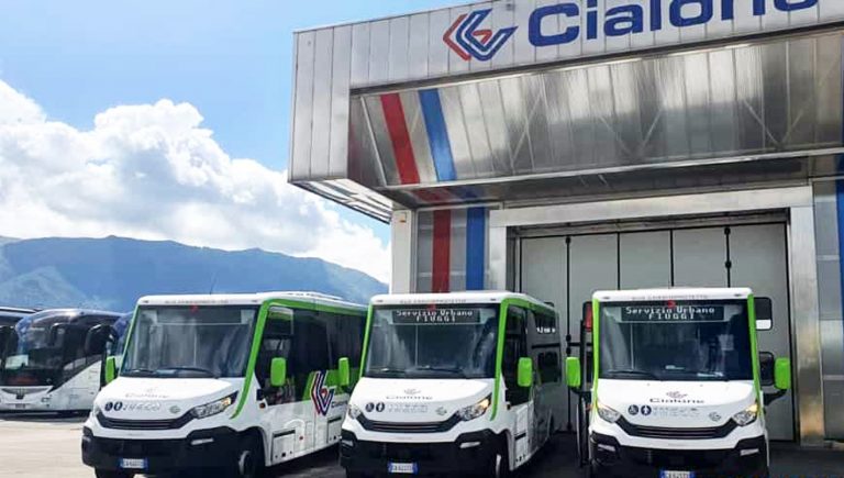 cialone bus