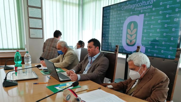 Confagricoltura Frosinone – Vola il prezzo del grano ma i margini per gli agricoltori sono gli stessi