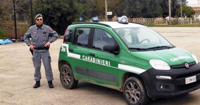 carabinieri forestali forestale