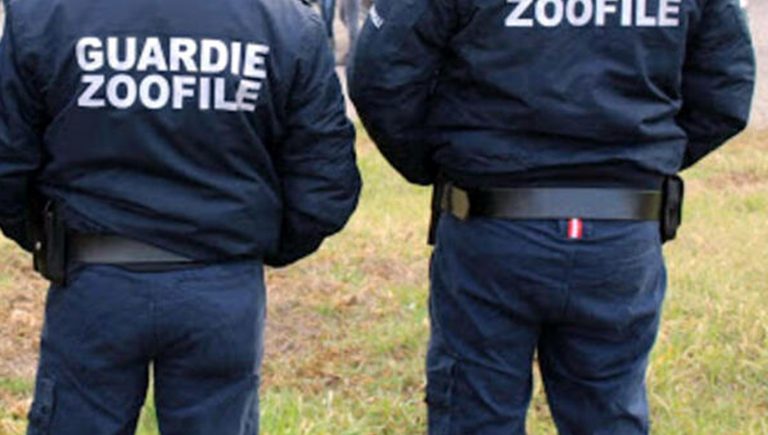 Frosinone – Guardie zoofile: si parte