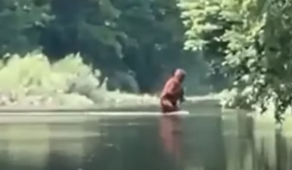 bigfoot