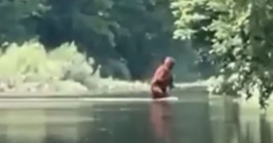 fiuggi-canterno-creatura-umanoide