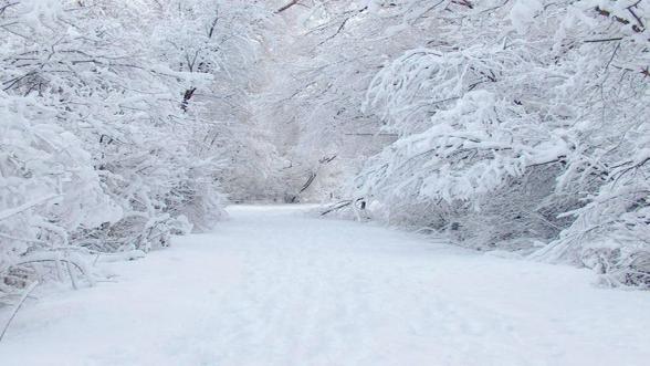 meteo-previsioni-neve