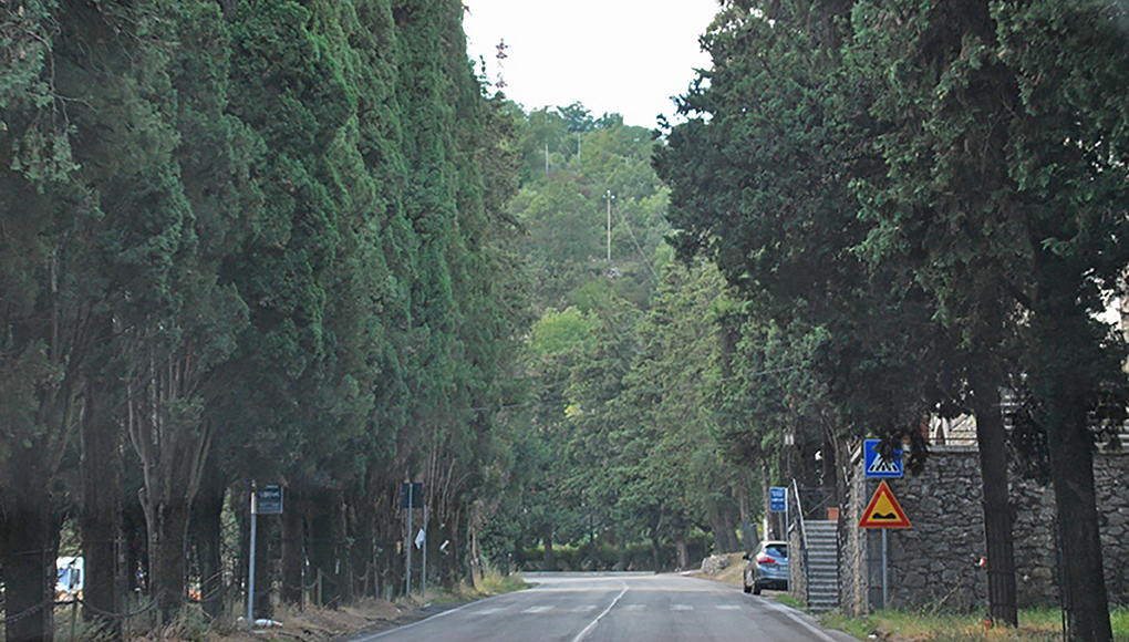 cipressi (2)