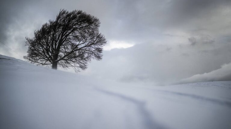 neve-vento-allerta-meteo