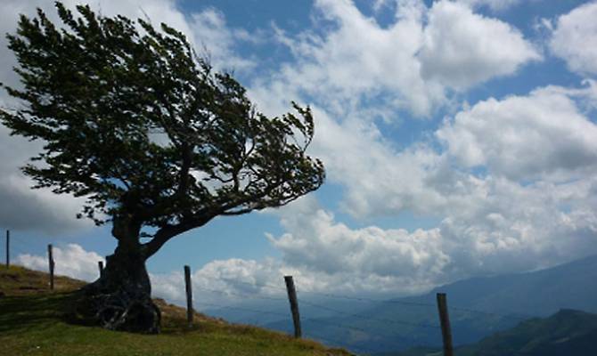 vento-forte-allerta-meteo