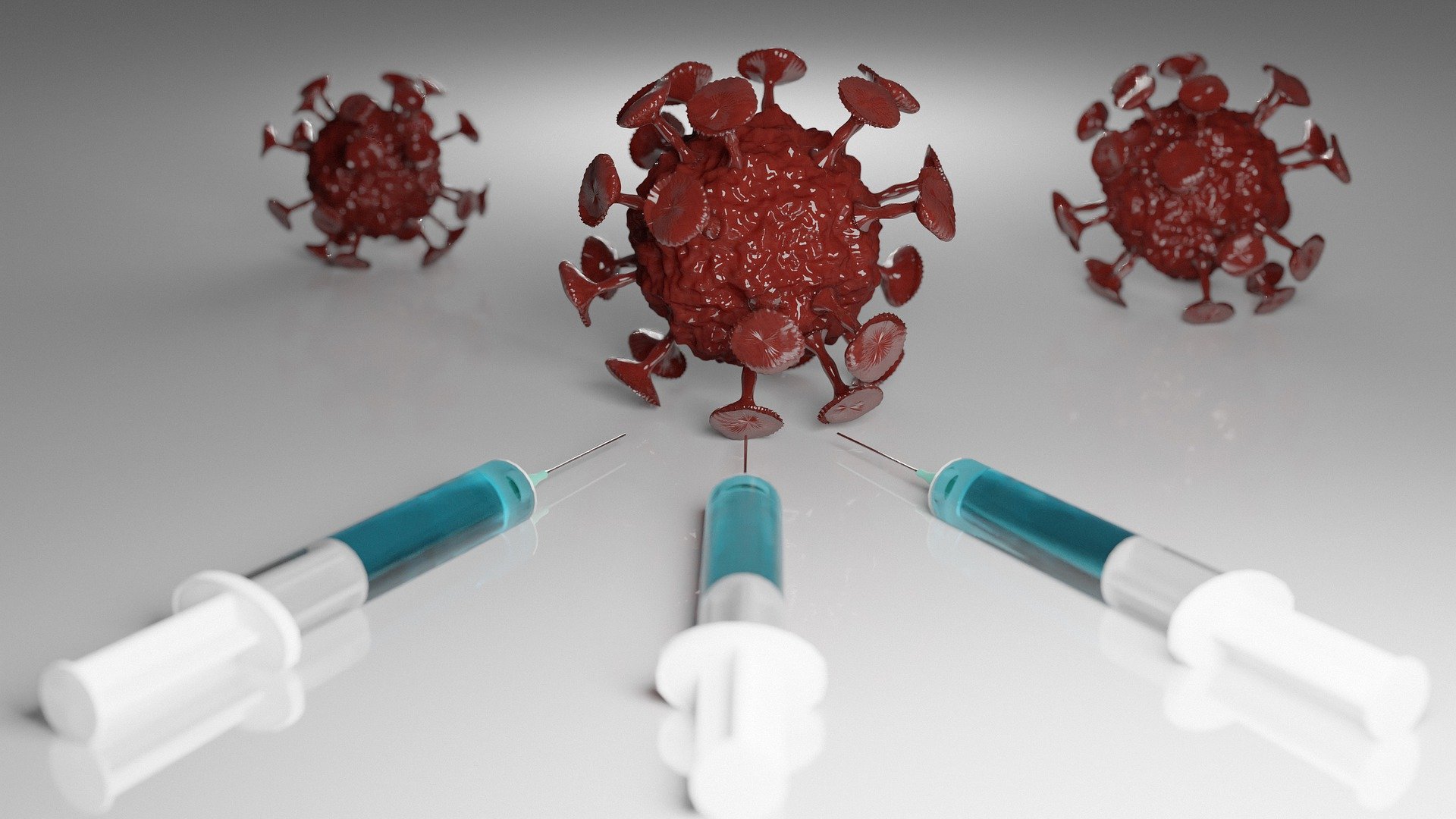 no vax solo-sangue-no-vax-per-nostro-figlio