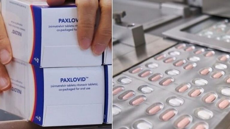 paxlovid-farmaco-pfizer-covid