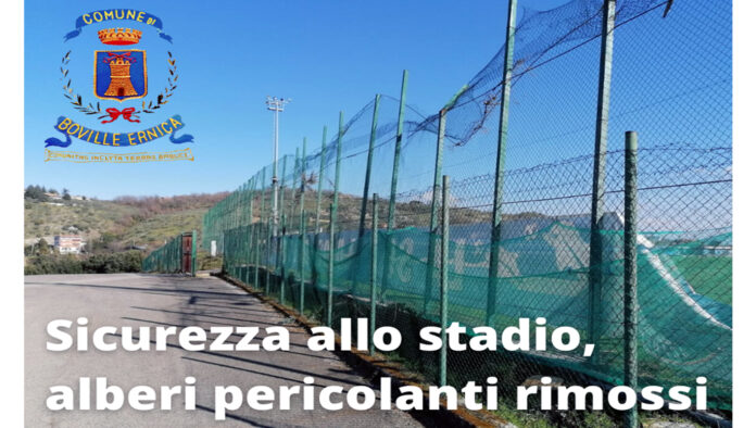 Boville Ernica – Rimossi tutti gli alberi pericolanti allo stadio 01