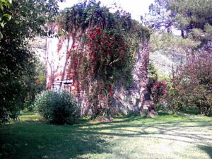 I giardini di Ninfa - rovine di Ninfa