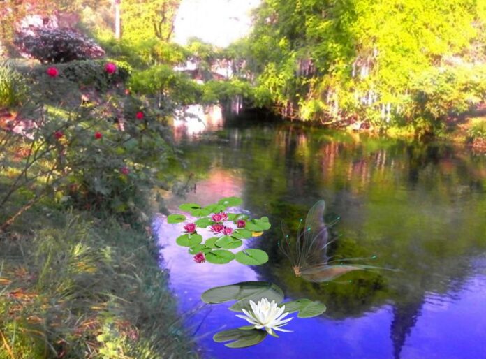 ruscello-di-Ninfa I giardini di Ninfa- ruscello