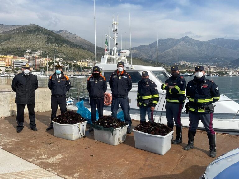 La Polizia Stradale sequestra oltre tre quintali di ricci di mare pescati illegalmente