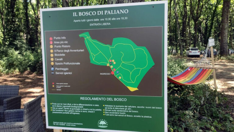 Amazon sceglie il Bosco di Paliano: nel week-end ingresso gratuito per tutti. Tutti i particolari