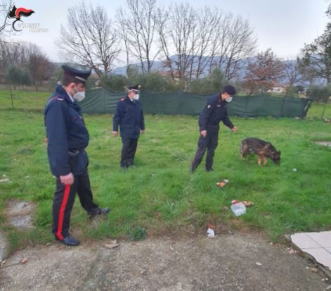 blitz carabinieri spaccio droga unità cinofile