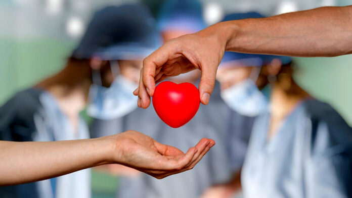 organi trapianti-donazione-organi-alessio-damato-regione-lazio