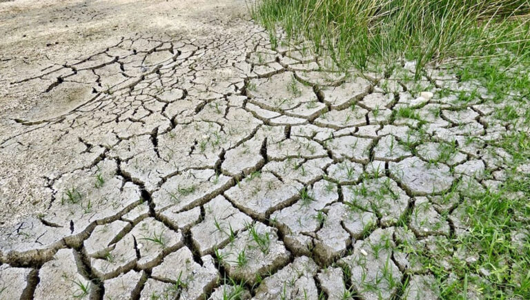 Allarme siccità nel Lazio. Anbi: “L’acqua piovana trattenuta oggi è solo l’11%”