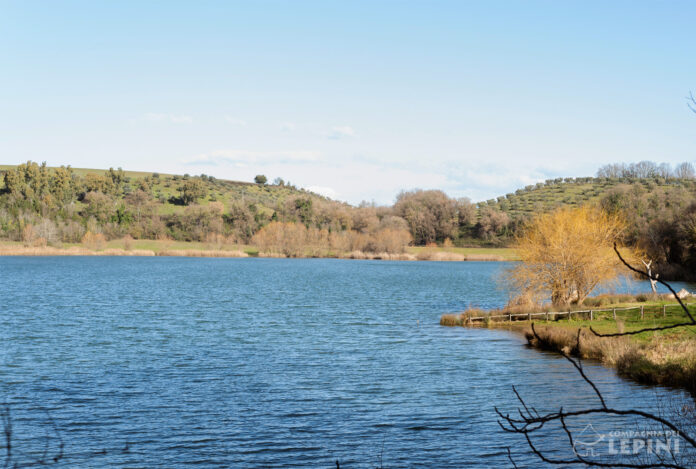 Monumento-Naturale-Bosco-del-Castello-di-San-Martino---Priverno
