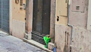 omicidio femminicidio romina de cesare frosinone