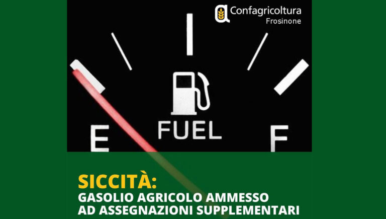 Confagricoltura Frosinone: Via libera dalla Regione Lazio all’incremento del 50% di gasolio agricolo a favore delle aziende