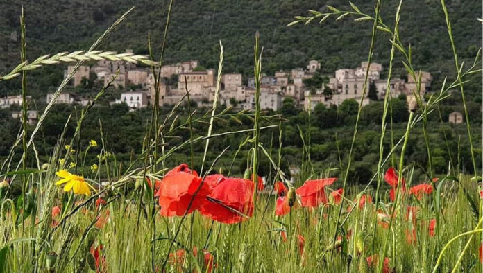 Roccasecca sfondo - SITO
