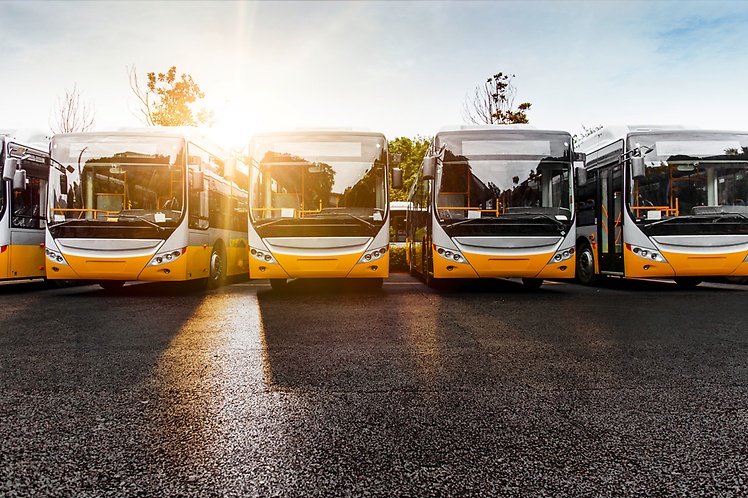 Frosinone, boom di immatricolazioni autobus: +60% in un anno