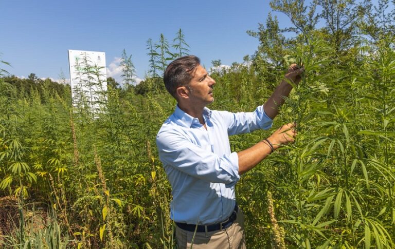 Roccasecca – Green Valley, sopralluogo di Sacco alle piantagioni di canapa