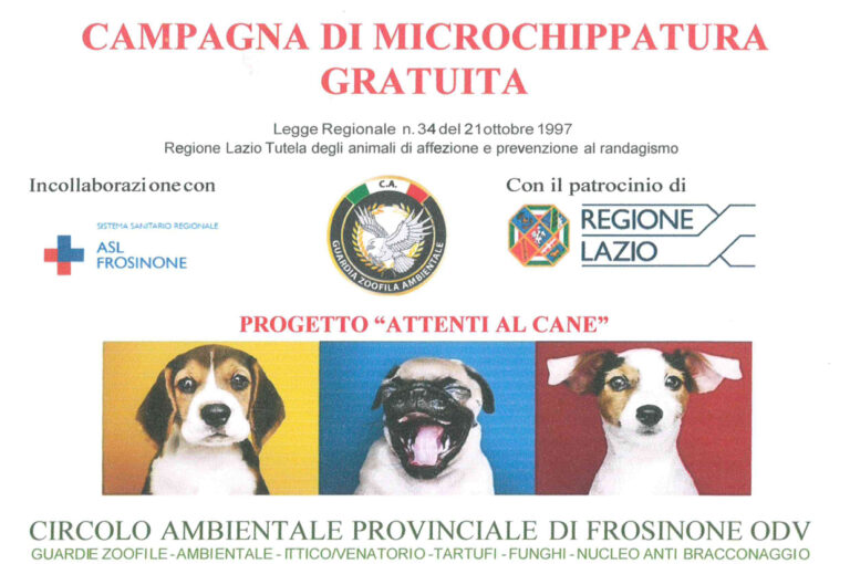 Attenti al cane – Un progetto provinciale per combattere il randagismo