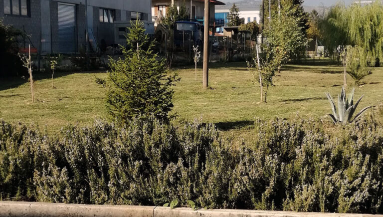 Frosinone, proseguono gli interventi di decoro e pulizia