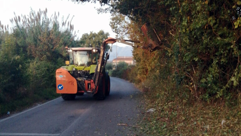 Frosinone, ulteriori interventi di pulizia e decoro in città