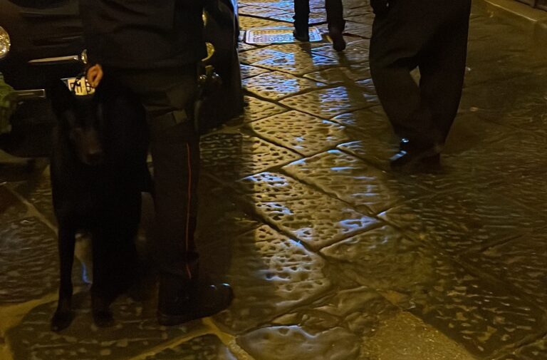 Controlli a tappeto dei carabinieri: Dingo smaschera diversi assuntori di sostanze stupefacenti