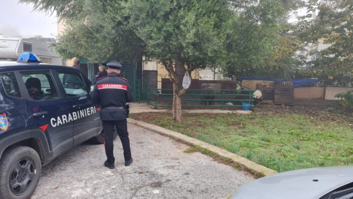 cc foto cassino