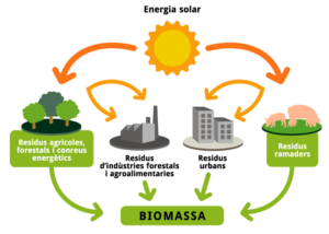 No biodigestore - ciclo completo