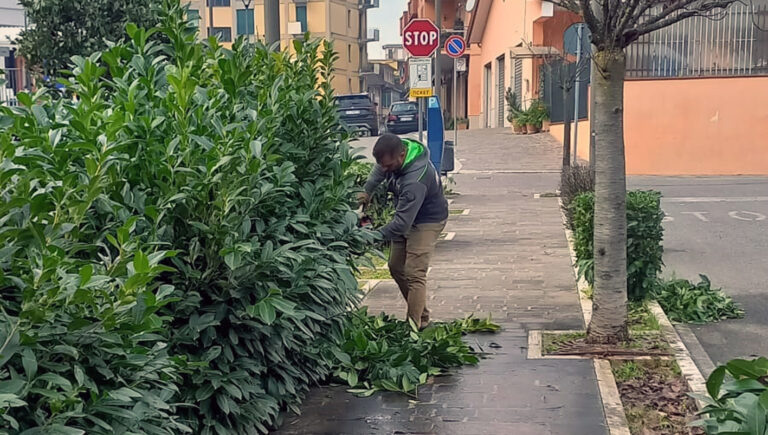 Frosinone, nuovi interventi sul verde. Attenzione sempre alta nelle scuole