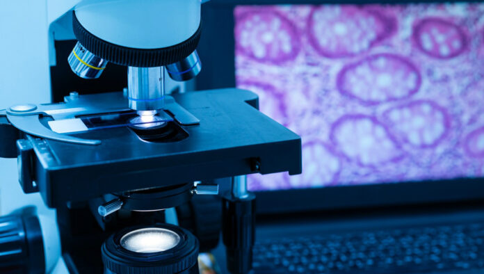 ANATOMIA PATOLOGICA-ASL FROSINONE - SITO