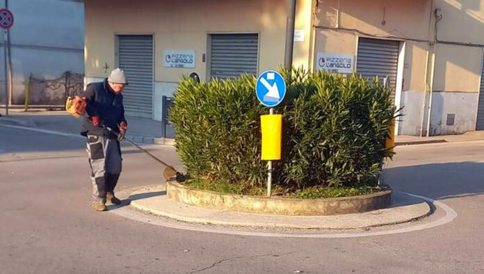 Frosinone, interventi di pulizia e igiene su tutte le aree verdi - SITO