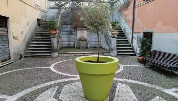 Frosinone, proseguono gli interventi di pulizia e valorizzazione dell’ornato nel centro storico - SITO