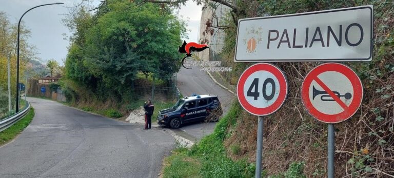 Controllo del territorio: droga e armi sequestrate