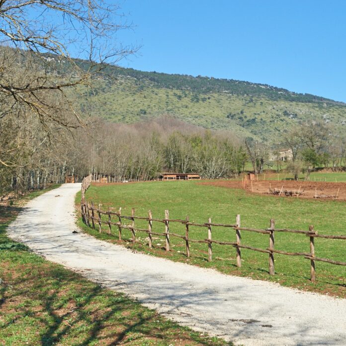 Panorama allevamento maiale nero