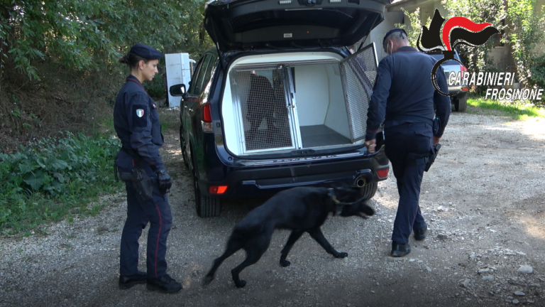 Ceccano – Servizio straordinario di controllo del territorio: due persone denunciate