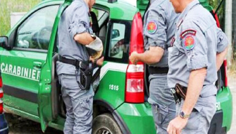 carabinieri forestali