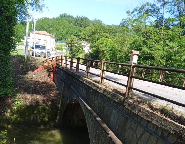 L’amministrazione provinciale di Frosinone sfida l’infestazione vegetale per garantire la sicurezza dei ponti