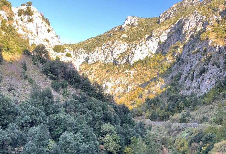 Provincia, viabilità: 105mila euro per la messa in sicurezza di un tratto del “Tracciolino”