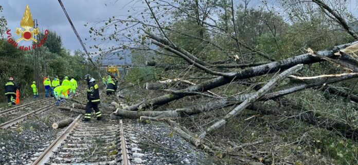 maltempo ciociaria treni caduta alberi