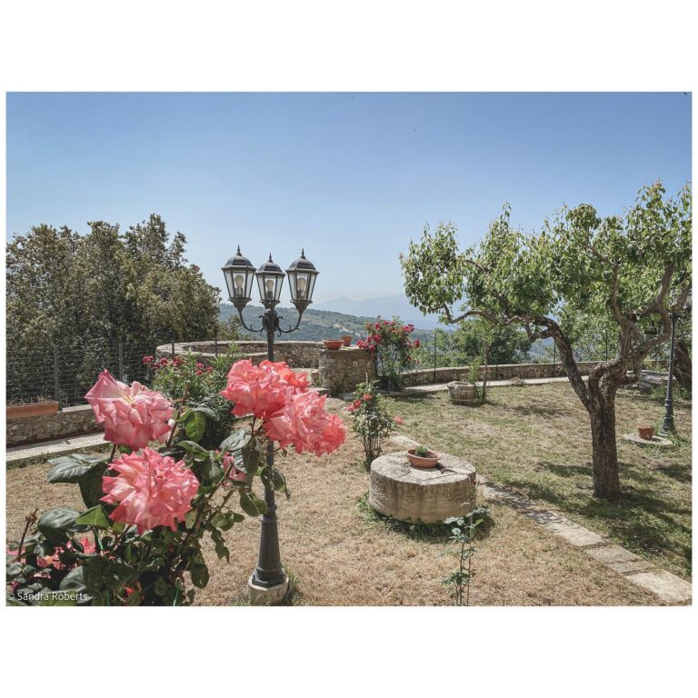 Viaggio nel cuore del Cesanese: alla scoperta delle eccellenze vitivinicole della Ciociaria
