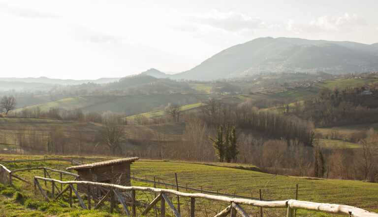 Gallinaro: un viaggio tra sapori e tradizioni nella Valle di Comino