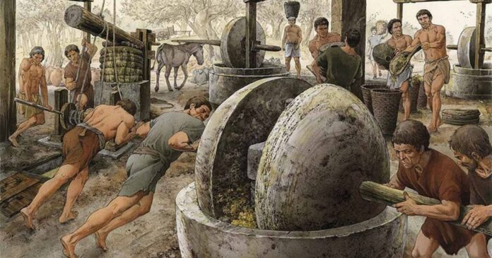 trapetum-romano-per-la-macina-delle-olive_