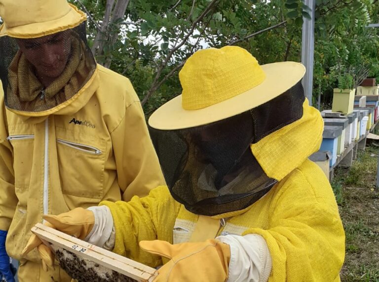 “Bee Yourself”, il nuovo progetto di apicoltura sociale per il Centro Diurno Distrettuale “Malancona” di Ferentino