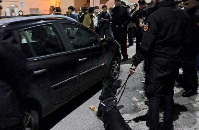 Immagine1 (1)