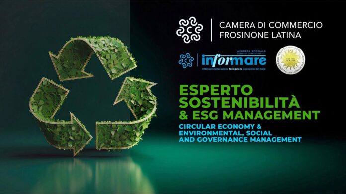 esperto sostenibilità esperto sostenibilità